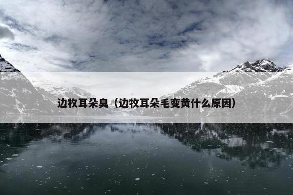 边牧耳朵臭（边牧耳朵毛变黄什么原因）