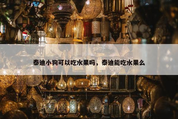 泰迪小狗可以吃水果吗，泰迪能吃水果么