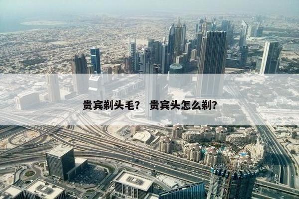 贵宾剃头毛？ 贵宾头怎么剃？