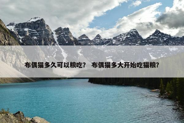 布偶猫多久可以粮吃？ 布偶猫多大开始吃猫粮？