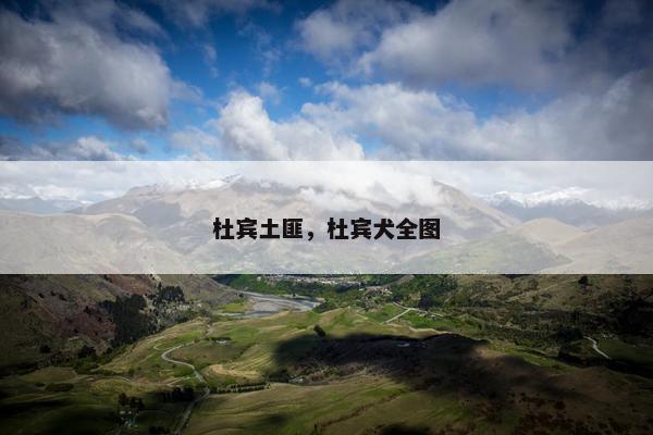 杜宾土匪，杜宾犬全图