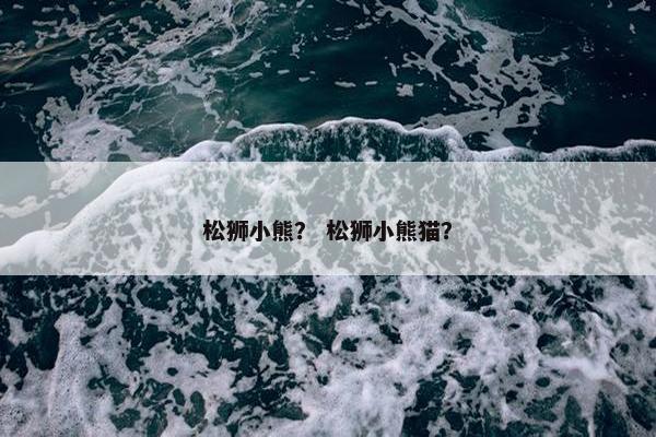 松狮小熊？ 松狮小熊猫？
