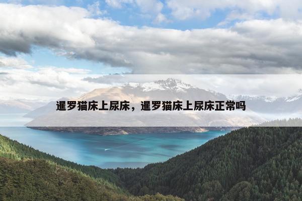 暹罗猫床上尿床，暹罗猫床上尿床正常吗