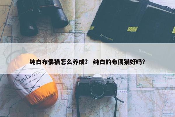 纯白布偶猫怎么养成？ 纯白的布偶猫好吗？