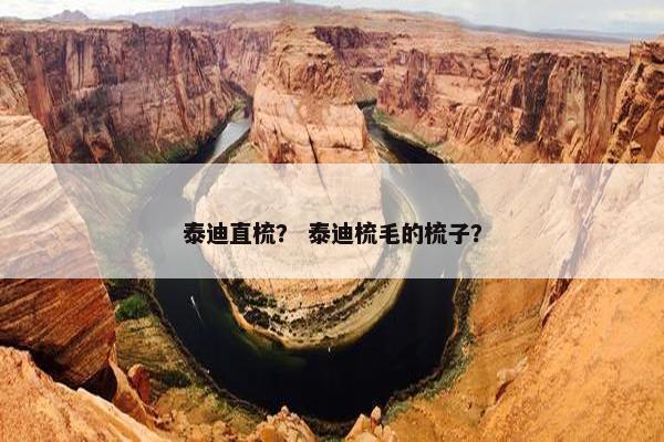 泰迪直梳？ 泰迪梳毛的梳子？