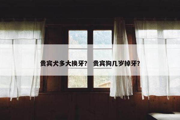 贵宾犬多大换牙？ 贵宾狗几岁掉牙？