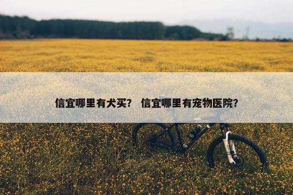 信宜哪里有犬买？ 信宜哪里有宠物医院？