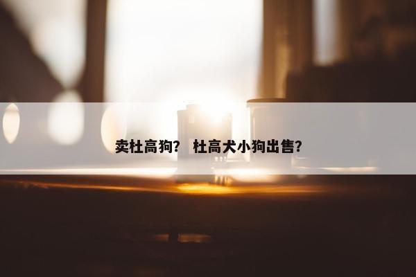 卖杜高狗？ 杜高犬小狗出售？