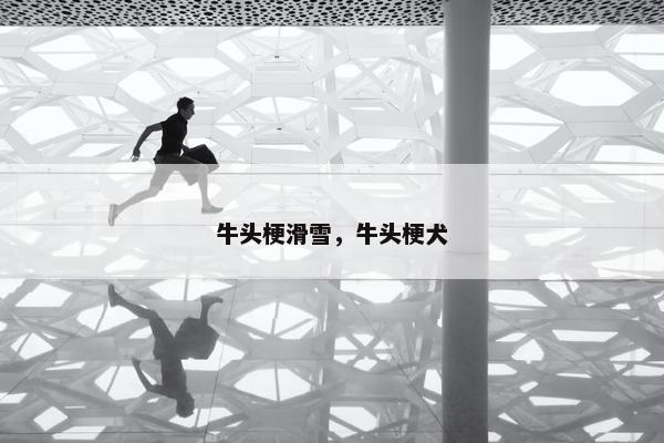 牛头梗滑雪，牛头梗犬