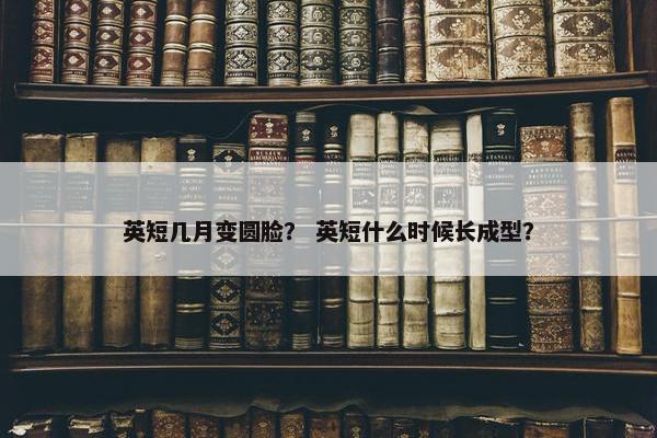 英短几月变圆脸？ 英短什么时候长成型？