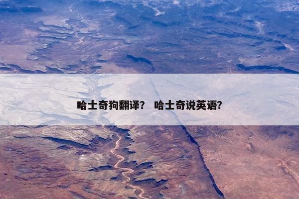 哈士奇狗翻译？ 哈士奇说英语？