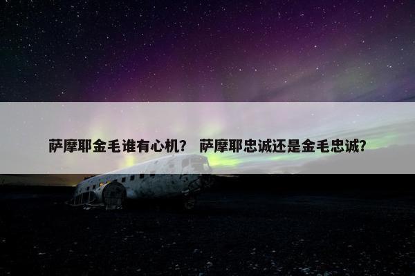 萨摩耶金毛谁有心机？ 萨摩耶忠诚还是金毛忠诚？