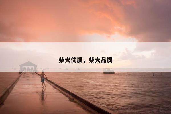 柴犬优质，柴犬品质