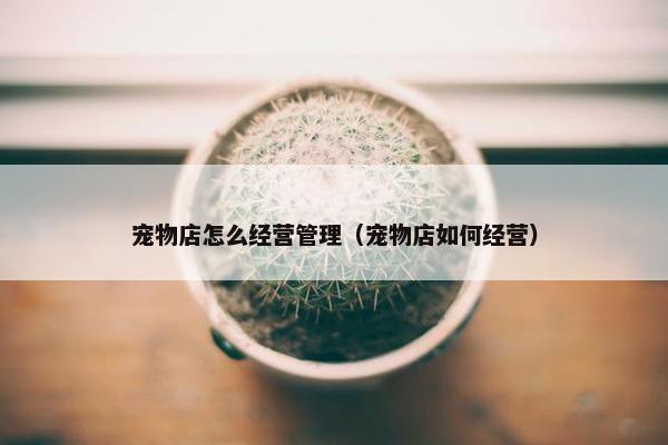 宠物店怎么经营管理（宠物店如何经营）