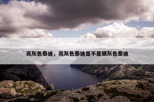 亮灰色泰迪，亮灰色泰迪是不是银灰色泰迪