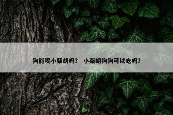 狗能喝小柴胡吗？ 小柴胡狗狗可以吃吗？