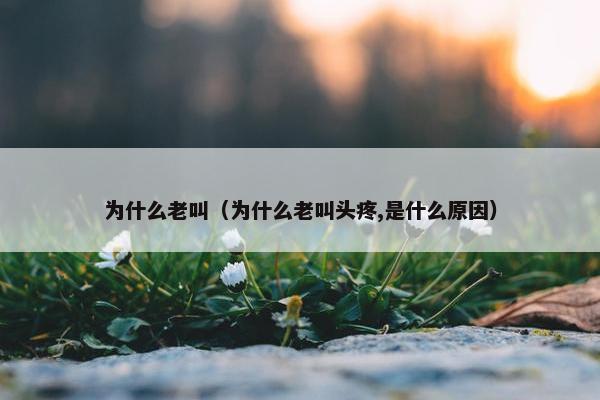 为什么老叫（为什么老叫头疼,是什么原因）