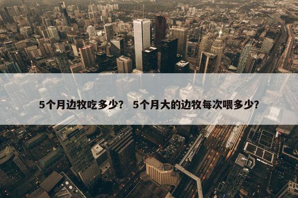 5个月边牧吃多少？ 5个月大的边牧每次喂多少？