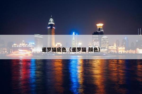 暹罗猫底色（暹罗猫 颜色）