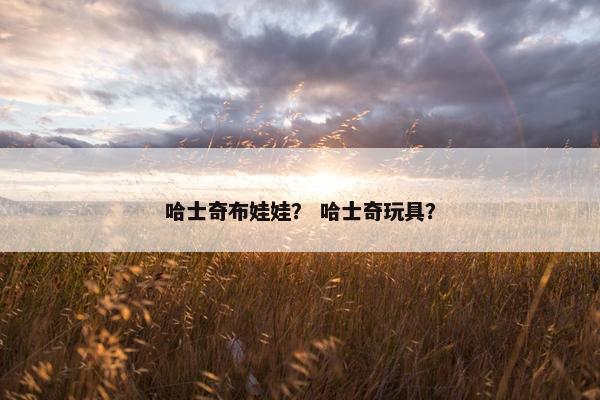 哈士奇布娃娃？ 哈士奇玩具？