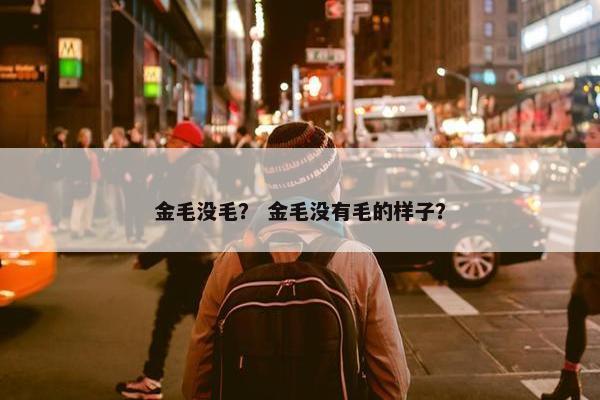 金毛没毛？ 金毛没有毛的样子？