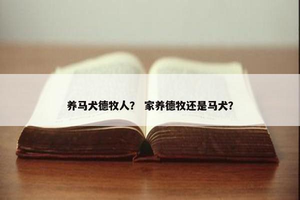 养马犬德牧人？ 家养德牧还是马犬？