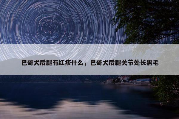 巴哥犬后腿有红疹什么，巴哥犬后腿关节处长黑毛