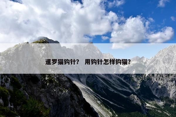 暹罗猫钩针？ 用钩针怎样钩猫？