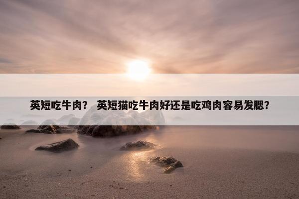 英短吃牛肉？ 英短猫吃牛肉好还是吃鸡肉容易发腮？