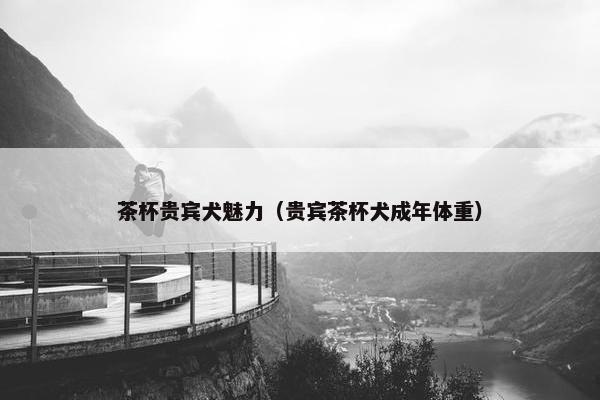 茶杯贵宾犬魅力（贵宾茶杯犬成年体重）