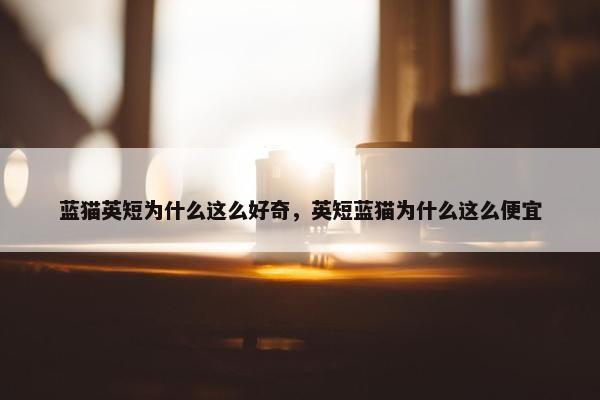 蓝猫英短为什么这么好奇，英短蓝猫为什么这么便宜