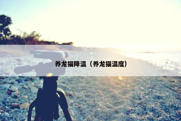 养龙猫降温（养龙猫温度）