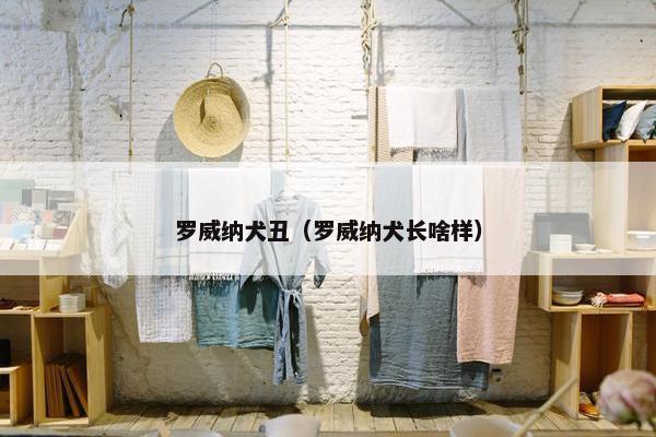 罗威纳犬丑（罗威纳犬长啥样）