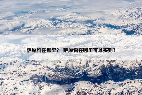 萨摩狗在哪里？ 萨摩狗在哪里可以买到？