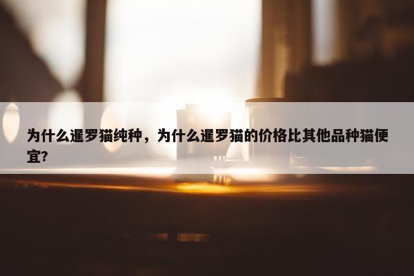 为什么暹罗猫纯种，为什么暹罗猫的价格比其他品种猫便宜?