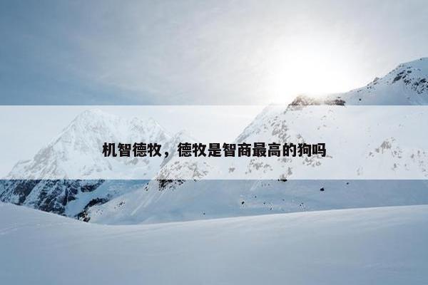 机智德牧，德牧是智商最高的狗吗