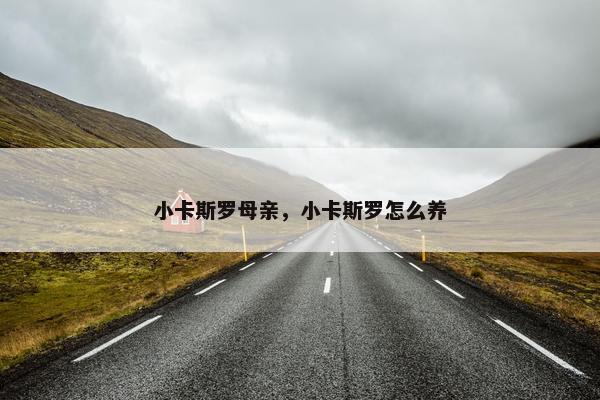 小卡斯罗母亲，小卡斯罗怎么养