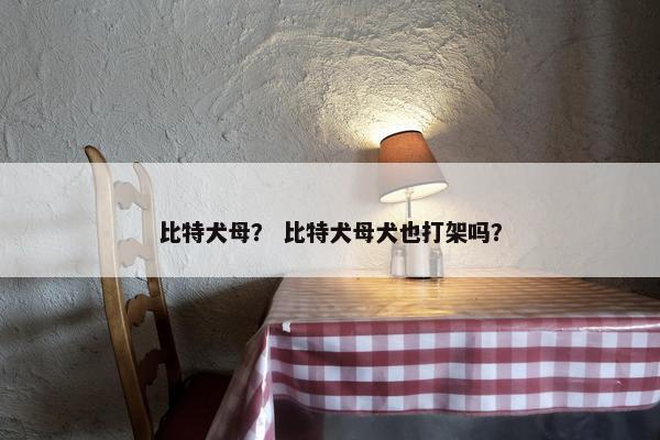 比特犬母？ 比特犬母犬也打架吗？