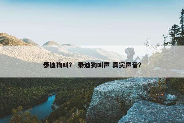 泰迪狗叫？ 泰迪狗叫声 真实声音？