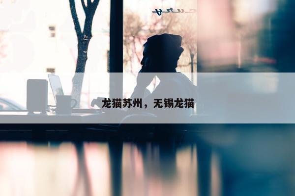 龙猫苏州，无锡龙猫