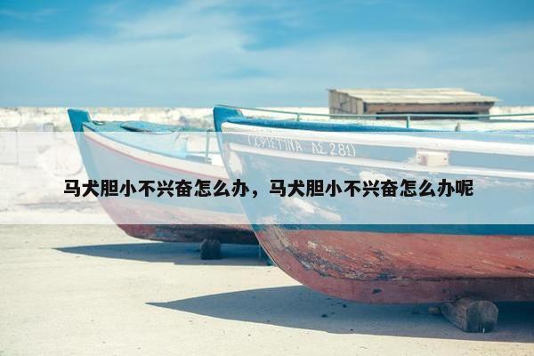 马犬胆小不兴奋怎么办，马犬胆小不兴奋怎么办呢