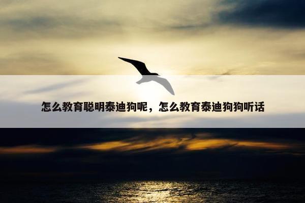 怎么教育聪明泰迪狗呢，怎么教育泰迪狗狗听话