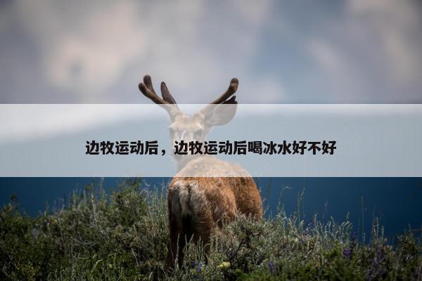 边牧运动后，边牧运动后喝冰水好不好