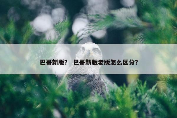巴哥新版？ 巴哥新版老版怎么区分？