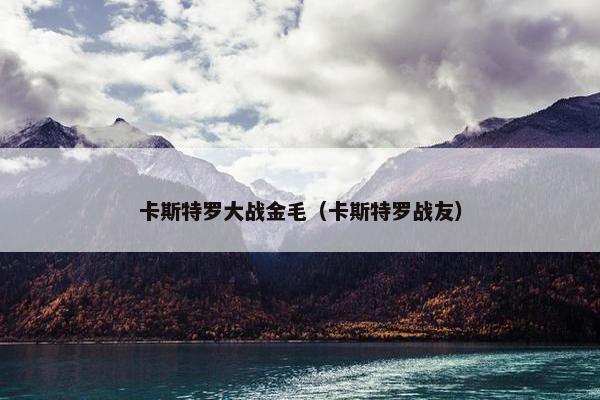 卡斯特罗大战金毛（卡斯特罗战友）