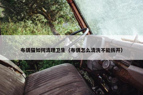 布偶猫如何清理卫生（布偶怎么清洗不能拆开）