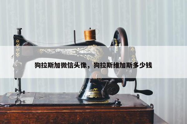 狗拉斯加微信头像，狗拉斯维加斯多少钱