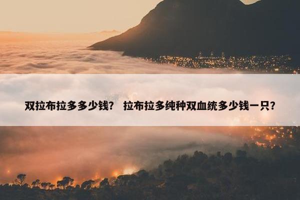 双拉布拉多多少钱？ 拉布拉多纯种双血统多少钱一只？