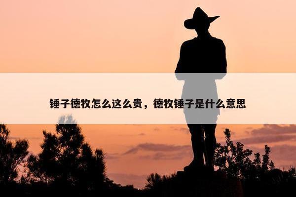 锤子德牧怎么这么贵，德牧锤子是什么意思