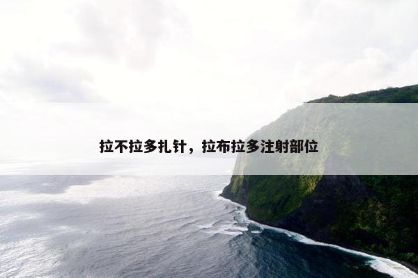 拉不拉多扎针，拉布拉多注射部位
